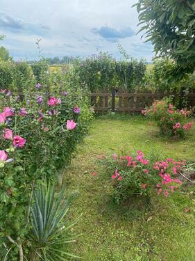 Foto - Grundst&uuml;ck in Berlin zur Miete