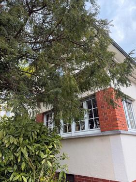 Foto - Freistehendes Einfamilienhaus in bester Lage in Neu Isenburg