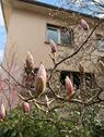 Foto - 7 Zimmer Einfamilienhaus zum Kaufen in Neu-Isenburg