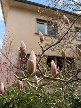 Foto - 7 Zimmer Einfamilienhaus zum Kaufen in Neu-Isenburg