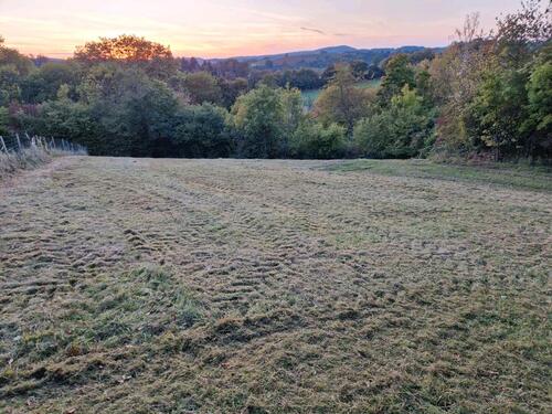 Foto - Grundst&uuml;ck zur Miete in Elz