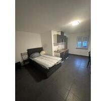 Ansprechende 1-Zimmer-Wohnung Möbliert (Handwerker Wohnung) - Ludwigshafen am Rhein Ludwigshafen-Oggersheim