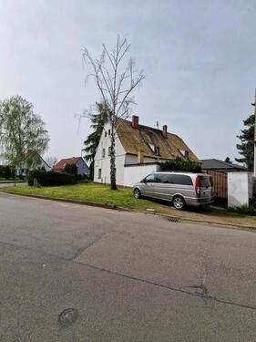 Foto - Einfamilienhaus in Delitzsch zum Kaufen