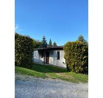 Ferienhaus im Harz, freistehend, direkte Waldlage, Terrasse, Gart - Blankenburg (Harz)