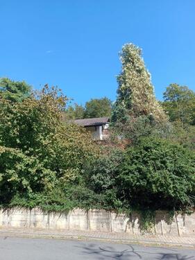 Foto - Einfamilienhaus zum Kaufen in Elsenfeld