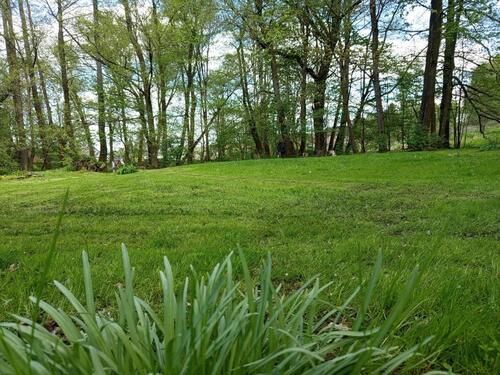 Foto - Einfamilienhaus in Waldsassen