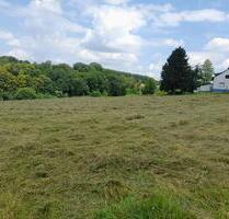Feld, Wiese, Grünefleche, Ackerland zu Verpachte - Witten Herbede