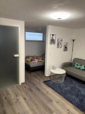 Foto - 1 Zimmer Etagenwohnung zur Miete in Lahr (Schwarzwald)