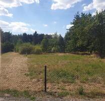 Pachtgrundstück für Tiny Houses oder Naturprojekte 2000 m² - Genthin