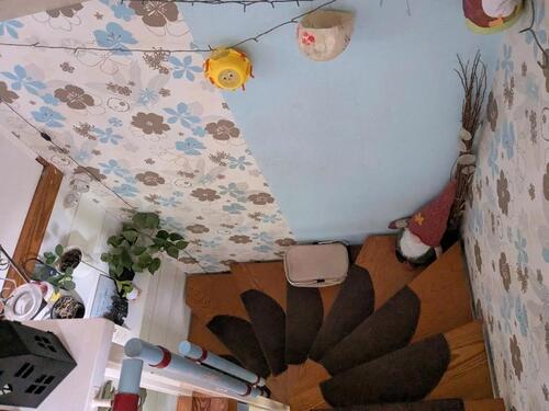 Foto - Einfamilienhaus in Hohenwestedt zum Kaufen