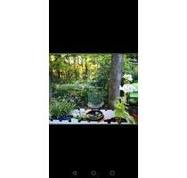 2 Zimmer zu vermieten Teilwg. - 800,00&nbsp;EUR Kaltmiete, ca.&nbsp; 50,00&nbsp;m&sup2; in Landsberg am Lech (PLZ: 86899) Ellighofen