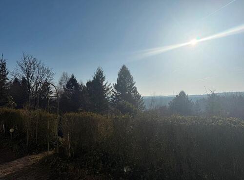 Foto - Bungalow in Leinach zum Kaufen