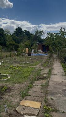 Foto - Kleingarten in Frankfurt (Oder) abzugeben