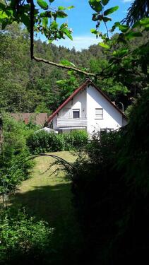 Foto - 7 Zimmer Einfamilienhaus zum Kaufen in Hinterweidenthal