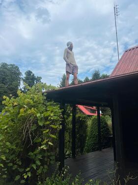 Foto - 2 Zimmer Einfamilienhaus in Berlin