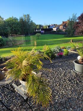 Foto - 6 Zimmer Einfamilienhaus zum Kaufen in Bergen an der Dumme
