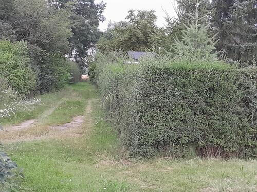 Foto - Grundst&uuml;ck in Landsberg zur Miete