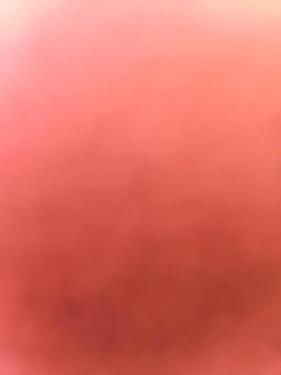 Foto - Stellplatz Neißestraße 16 in Hamburg