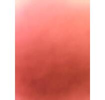 Stellplatz Neißestraße 16 in Hamburg