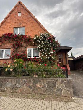 Foto - Eigenheim zu verkaufen - 289.000,00&nbsp;EUR Kaufpreis, ca.&nbsp; 160,00&nbsp;m&sup2;