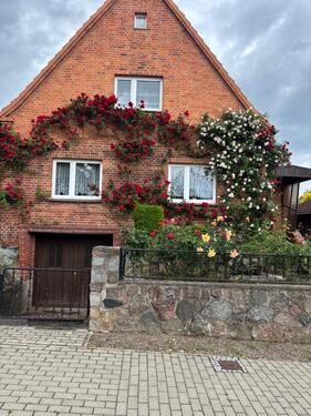 Foto - 6 Zimmer Einfamilienhaus in Güstrow