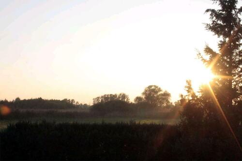 Foto - andere zur Miete in Havelsee