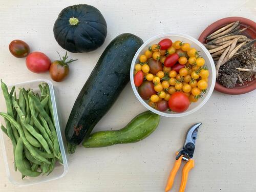 Foto - Kleingarten an der Spree - 2.500,00&nbsp;EUR Kaltmiete, ca.&nbsp; 0,00&nbsp;m&sup2;