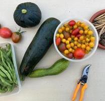 Kleingarten an der Spree - 2.500,00&nbsp;EUR Kaltmiete, ca.&nbsp; 0,00&nbsp;m&sup2; in Cottbus (PLZ: 03046)