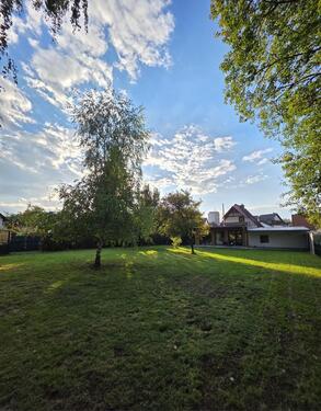 Foto - Freistehendes Einfamilienhaus mit großem Garten in Homburg