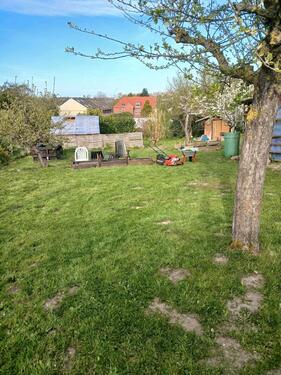 Foto - Garten abzugeben In Schüsterkrug