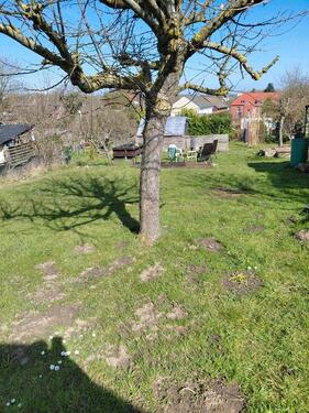 Foto - Grundst&uuml;ck in Altenholz zur Miete