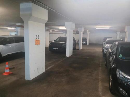 Foto - andere in Potsdam