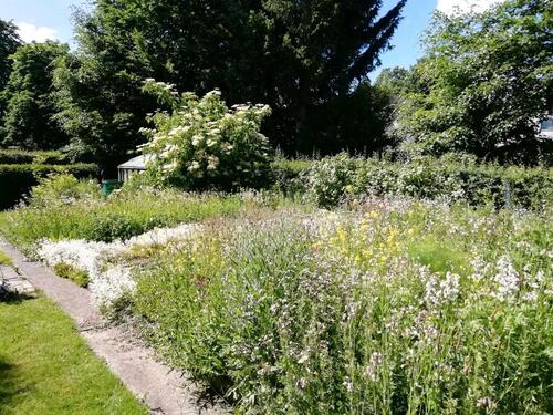 Foto - 8 Zimmer Einfamilienhaus zur Miete in Monschau