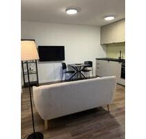 stilvoll möblierte 1-Zimmer-Wohnung in Holzgerlingen