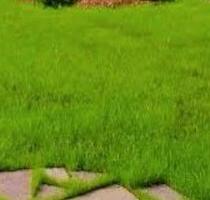 Garten zur pachten, Schweinfurt Oberndorf