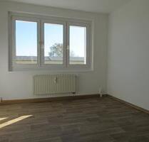 Schöne 3-Raum-Wohnung zu vermieten! - Neustadt in Sachsen