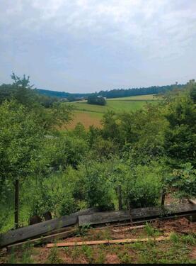Foto - Gartengrundstück zur Pacht - 3.000,00 EUR Kaltmiete, ca.  0,00 m²