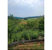 Gartengrundstück zur Pacht - 3.000,00 EUR Kaltmiete, ca.  0,00 m² in Bamberg (PLZ: 96052) Bamberg-Ost