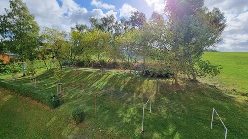 Foto - 3-Raum Wohnung mit Balkon, Aufzug & Blick ins Grüne