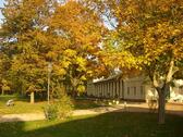 Foto - 