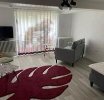 Möblierte Kellerwohnung inkl. schöner Terrasse - Weilerbach