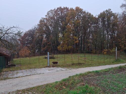 Foto - Grundstück zur Miete in Altdorf