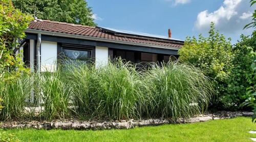 Foto - andere in Hollern-Twielenfleth