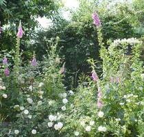 Helle und freundliche Ferienwohnung - Trappenkamp
