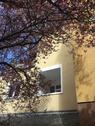 Foto - 3 Zimmer Etagenwohnung zur Miete in Wetzlar