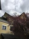 Foto - 3 Zimmer Etagenwohnung in Wetzlar