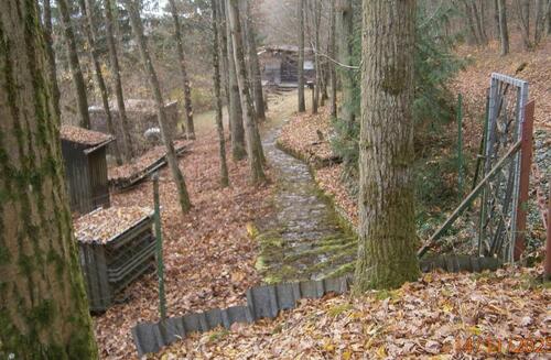 Foto - Freizeitgrundstück zu verpachten