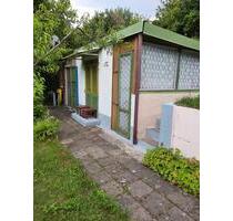 Eisenhüttenstadt Garten 300m² Gart. Gem. 