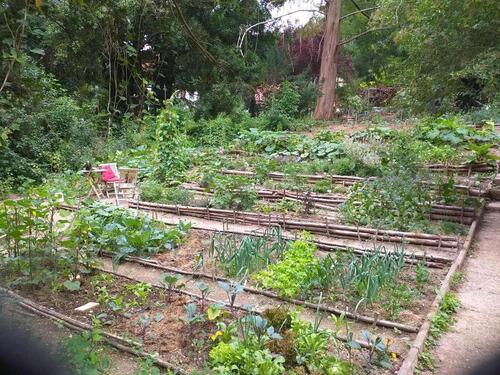 Foto - Grundst&uuml;ck in Eltville am Rhein
