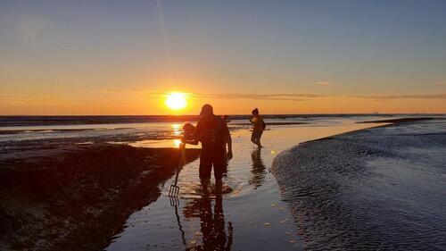 Foto - Ferienwohnung direkt am Deich - am Jadebusen zu verkaufen